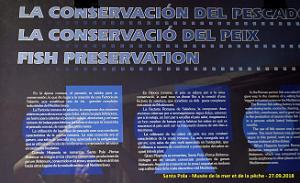 35 SANTA POLA - MUSEE DE LA MER ET DE LA PECHE (182)
